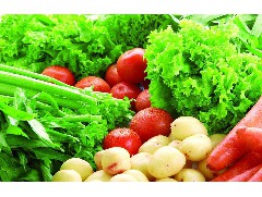 各种颜色蔬菜营养物质